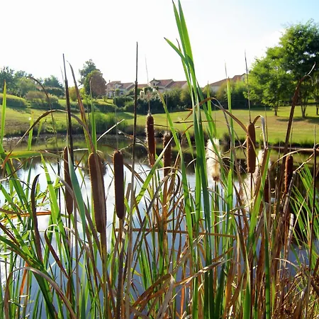Spacious With Heated Pool, Cleaning Included Holiday home *